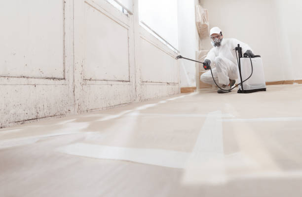 24/7 Emergency Basement Mold Remediation experts in Hermitage, TN
